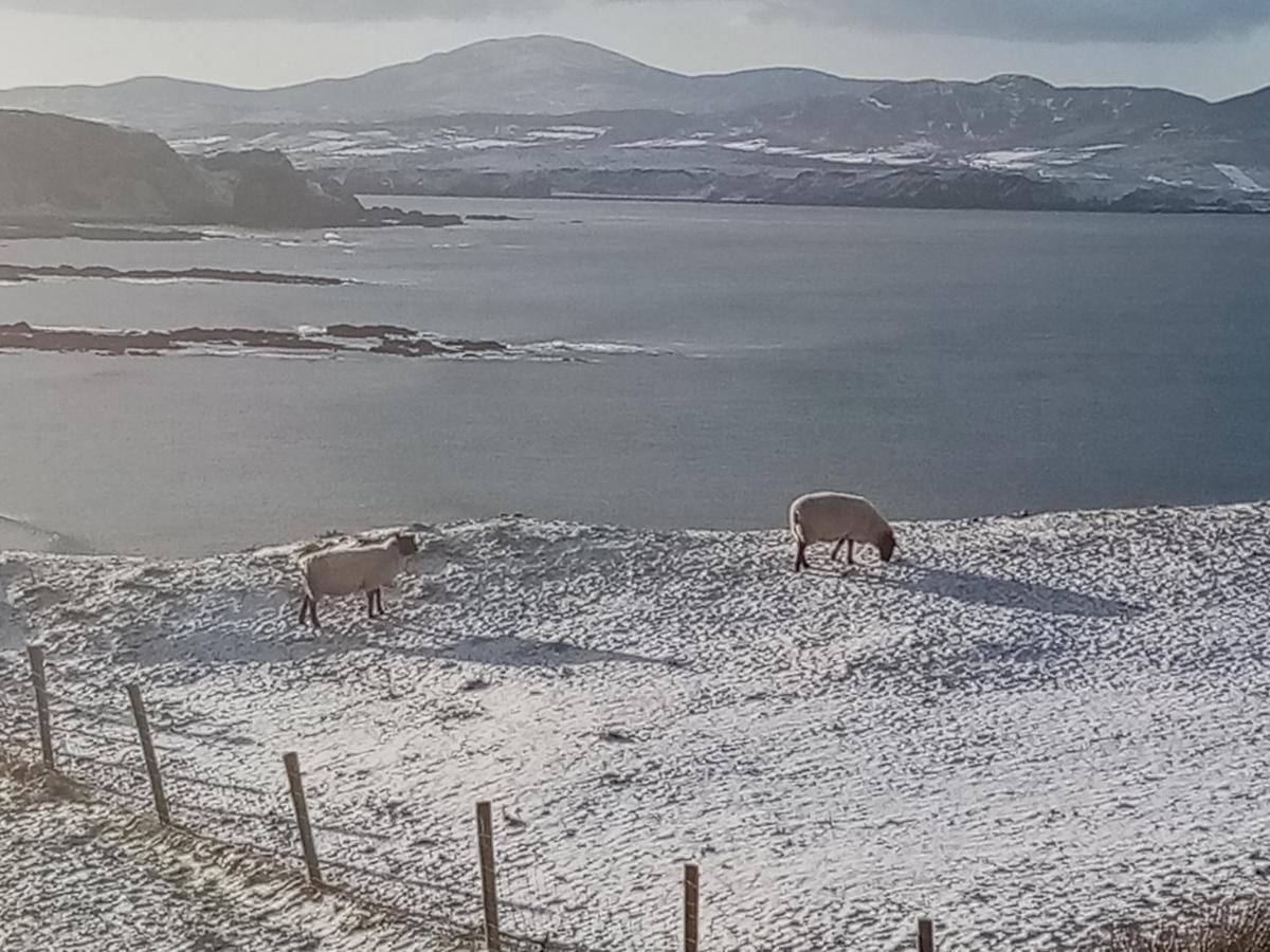 Donegal Town B&B The Red Door Cottage المظهر الخارجي الصورة