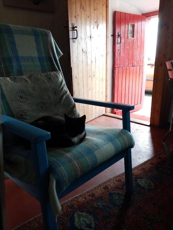 Donegal Town B&B The Red Door Cottage المظهر الخارجي الصورة