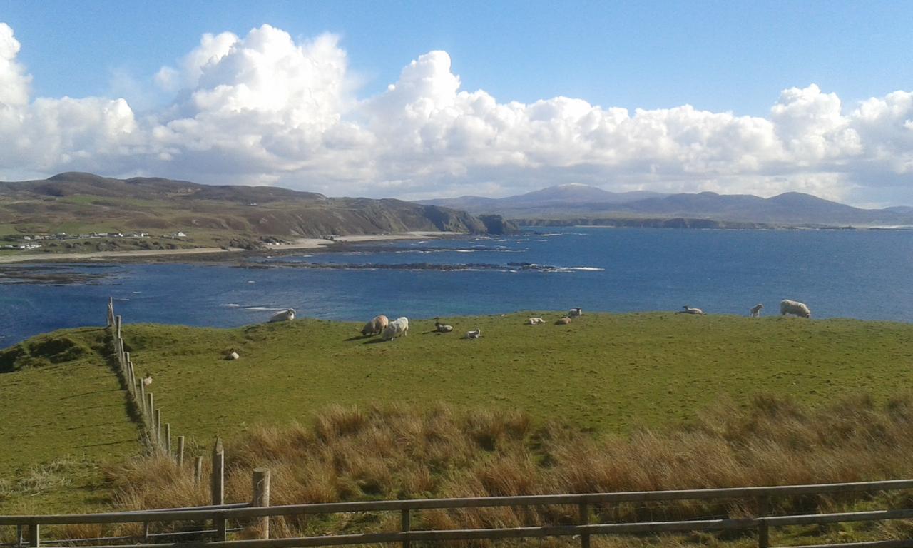 Donegal Town B&B The Red Door Cottage المظهر الخارجي الصورة
