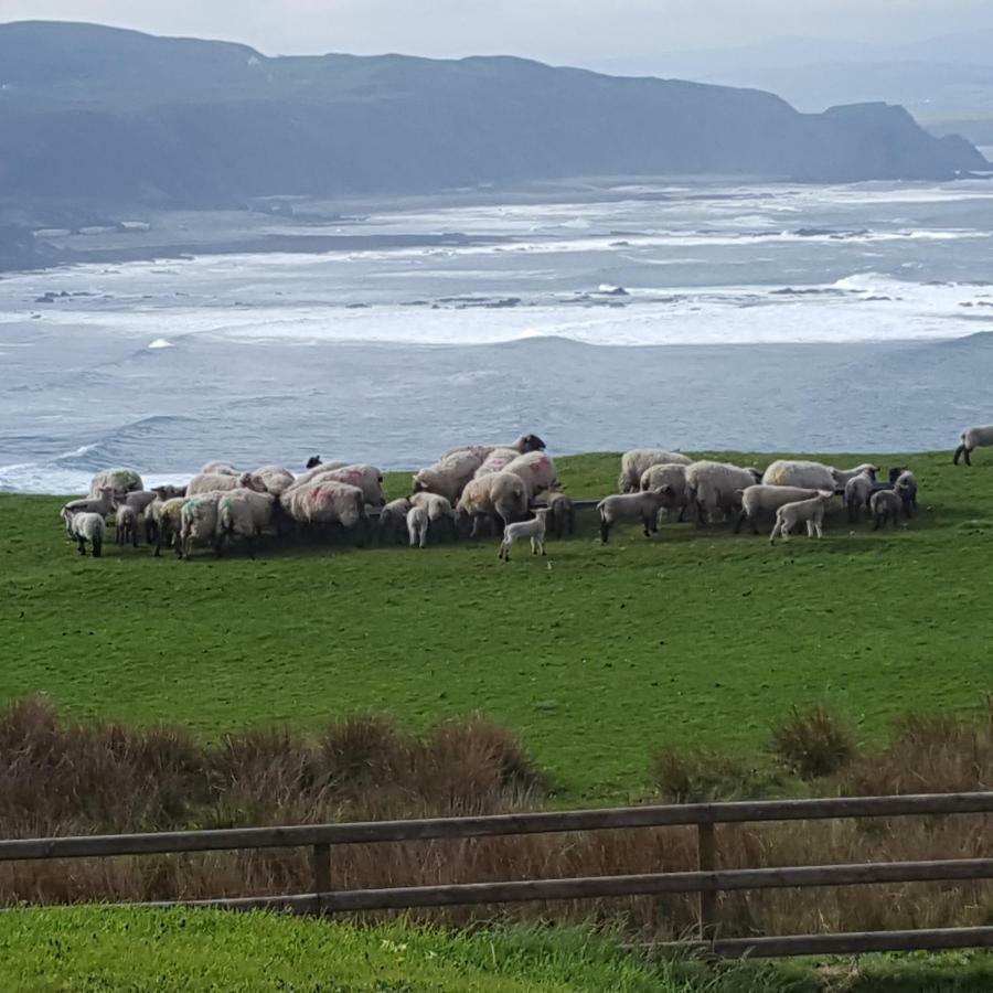 Donegal Town B&B The Red Door Cottage المظهر الخارجي الصورة